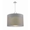 Z-Lite Arosia 1 Light Pendant, Chrome & Gray 194-24G-C - alternate 1